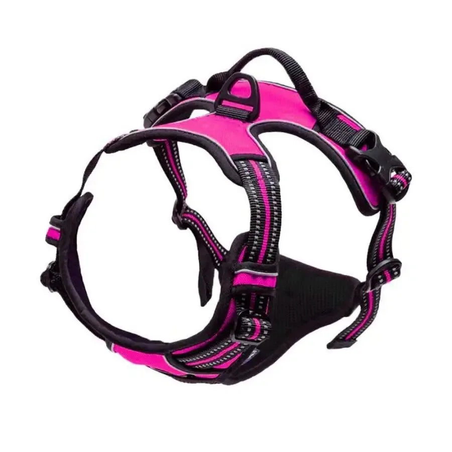 The PupHarness™ — Secure. Comfortable. Road-Ready.