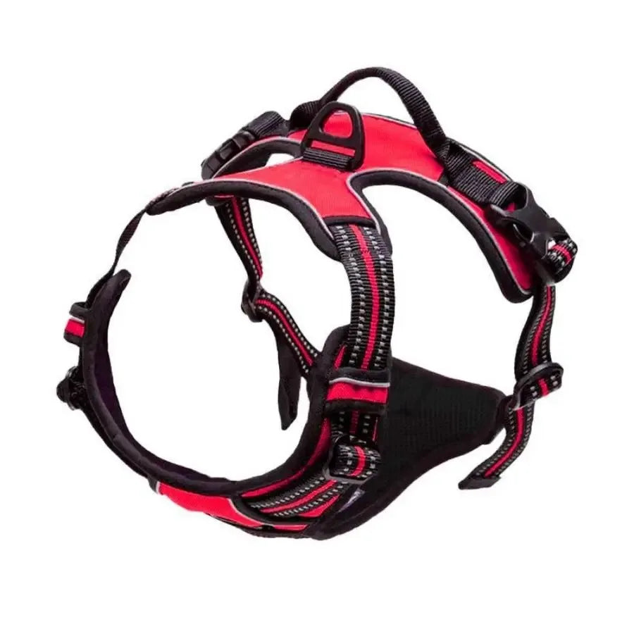 The PupHarness™ — Secure. Comfortable. Road-Ready.