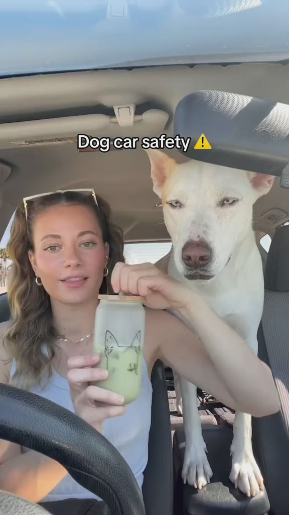 Load video: 